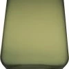 Iittala ESSENCE VANDGLAS 35CL MOSGRØN 2 STK