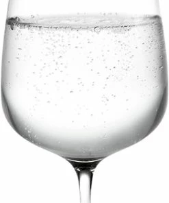 Holmegaard Bouquet Vand- Og ølglas 38 Cl.