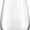Eva Solo Glas 48cl