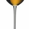 Riedel Veritas Spirits 6449/71