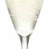 Holmegaard Perfection Champagneglas Klar 23 Cl 6 Stk.
