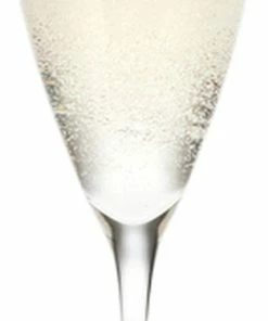 Holmegaard Perfection Champagneglas Klar 23 Cl 6 Stk.